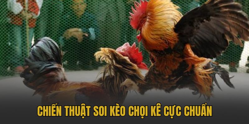 Chiến thuật soi kèo hiệu quả.